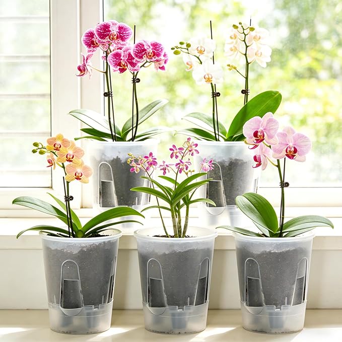 Plant Pots 6 inch Set of 5, Self Watering Pots for Indoor Outdoor, Upgraded Water Inlet Self Watering Planters Flower Pots with Drainage Hole and Clear Saucer Reservoir (Clear)