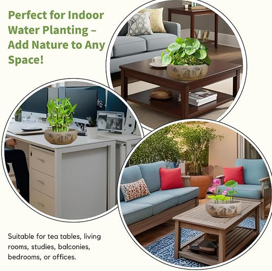 Lotus Bowl Planter, Ceramic Water Lily Bowl, Hydroponic Bonsai Lotus Bowls for Water Plants Indoor, Succulent Pots, Leak-Proof Design, Tranquil Living by Nature (7.56in*2.76in)