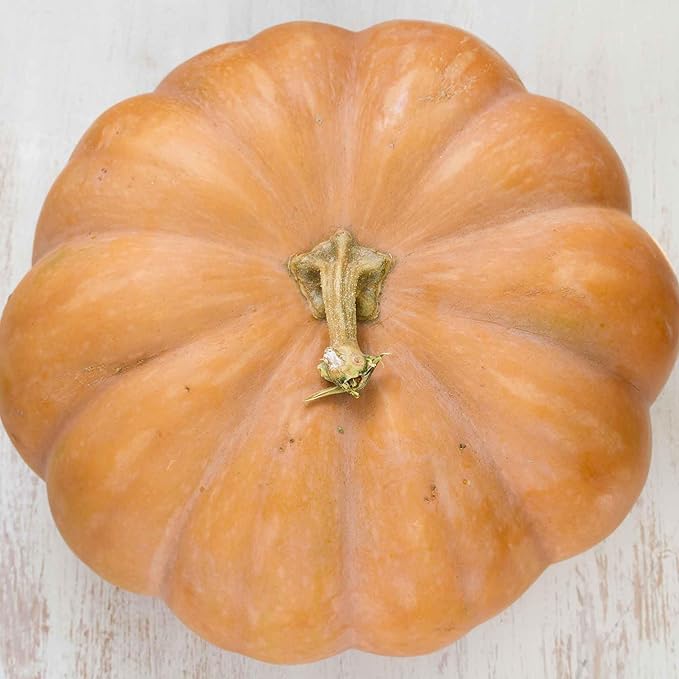 Eden Brothers Pumpkin Seeds - Fairytale Non-GMO Seeds for Planting, Packet | High-Yielding, Fast Growing Vegetable Seeds, Plant During Warm Season, Zones 3, 4, 5, 6, 7, 8, 9, 10