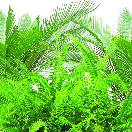 Jobe's 05101 Fern & Palm Fertilizer Spikes, 30 Per Pack, 5 Pack