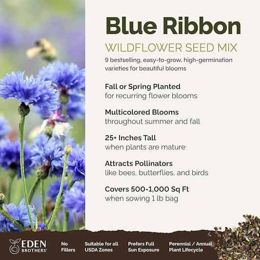 Eden Brothers Blue Ribbon Flower Mixed Seeds for Planting, 1 lb, 480,000+ Seeds with Blue Bell, Cornflower Blue, Chicory | Attracts Pollinators, Plant in Spring or Fall, Zones 3, 4, 5, 6, 7, 8, 9, 10