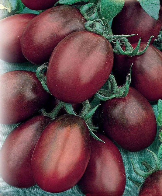Seeds Vegetable Black De Barao Tomato - 40 Seeds
