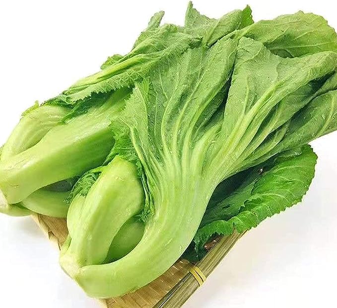 100 Pcs Seeds Heirloom | Non-GMO | Chinese Asian Vegetable Seeds Fresh Garden Seeds, Seeds, Gardeners Choice!