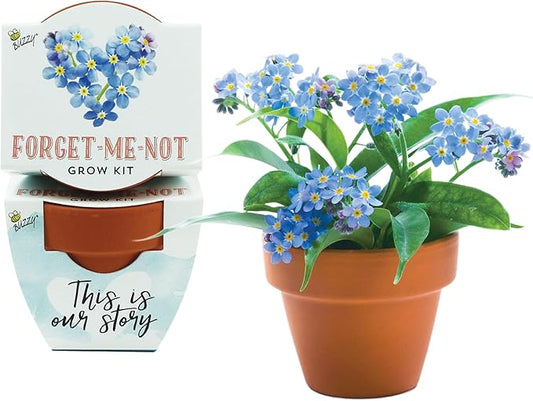 BUZZY Seeds Forget-Me-Not Terracotta Mini Grow Pots Love Collection, 12-Pack All-in-One Gardening Kit for Wedding Favors, Prizes, Birthday Gifts, Party Favors, Bridal Showers, Valentines