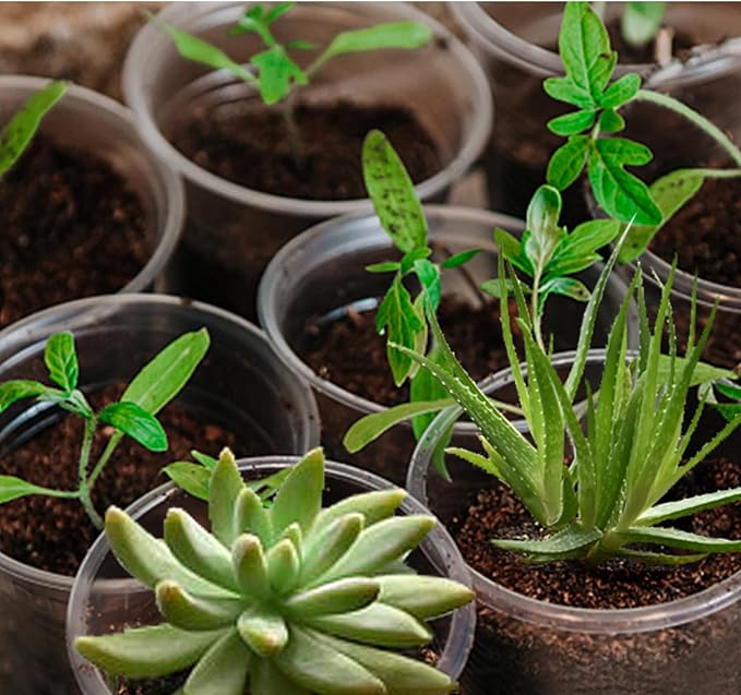 21 Pack 3.5/5/6 Inch Clear Nursery Pots for Plants, Clear Plant Pots with Drainage Holes, Flexible Plastic Plant Pots, Seedling Planter Seed Starter Pots(3.5+5+6 Inch)