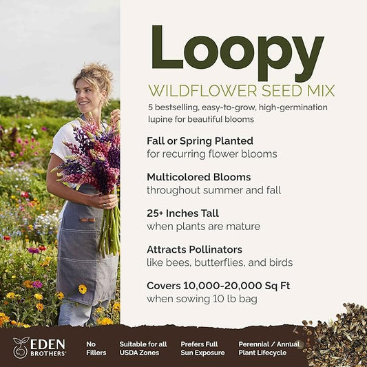 Eden Brothers Lupine Flower Mixed Seeds for Planting, 10 lb, 4,800,000+ Seeds with Russell, Arroyo, Yellow, Sky Lupine | Attracts Pollinators, Plant in Spring or Fall, Zones 3, 4, 5, 6, 7, 8, 9, 10