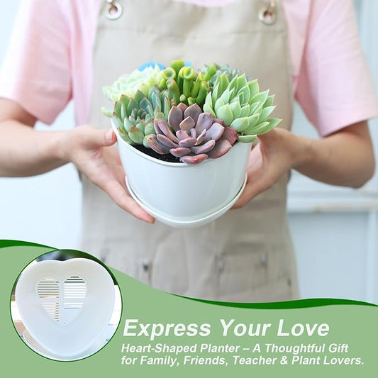 Succulent Pots Heart-Shaped Shallow Herb Planters with Drainage Hole - 4 Packs Cactus Planter for Home Office Garden Plants Pot Present - Plants Not Included (Off White)