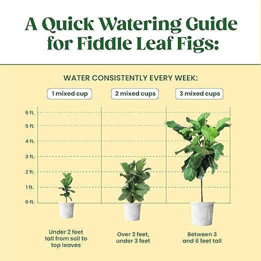 Root Supplement, Liquid Stimulator for Fiddle Leaf Fig & Indoor Plants - Propagation Promoter & Rot Treatment - Food for Healthy Roots, Stems & Leaves - Made in USA