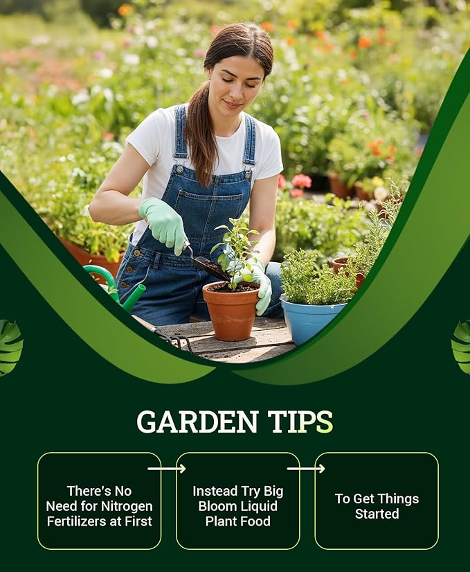 FoxFarm Ocean Forest Potting Soil for Container Gardens - Light, Aerated Texture with Fish Emulsion, Crab Meal, Earthworm Castings - Houseplant Potting Mix for Seedlings & Plant Starts - 4 x 12 Quart