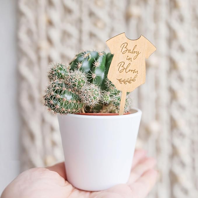 30Pcs Baby in Bloom Plant Labels Baby Shower Wooden Plant Stakes Gift Succulent Garden Marker Plant Sign for Seed Potted Supplies