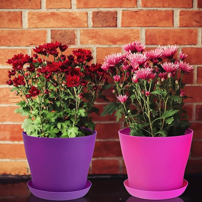20 Pack Plastic Planters 5.5 Inch Plant Flower Pot with Trays, Seedlings Nursery Pots Planter Flower Container Seed Pots for Seedling, Transplanting, Cutting, Assorted 10 Colors
