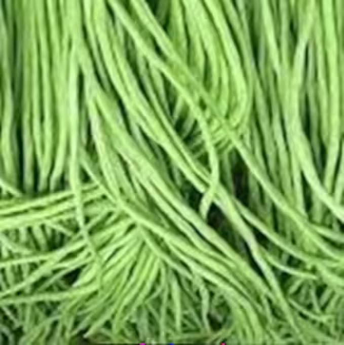 Yard Long Bean Seeds 85+ Seeds, Asian Heirloom Yard Long Beans Seeds, Asparagus Beans Seeds, Phaseolus Vulgaris, Non GMO