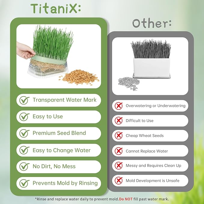 Cat Grass for Indoor Cats with 5Pack Non GMO Seeds, Organic Grass Growing Kit, Soil-Free Planter, Perfect for Beginners, Ideal Birthday Gift for Cat Lovers