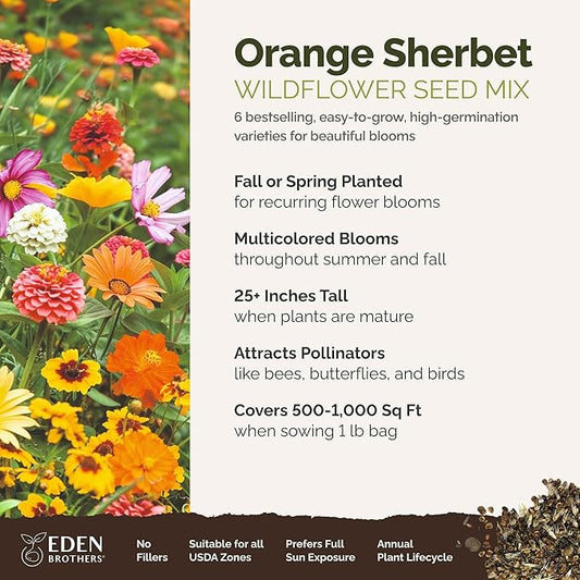 Eden Brothers Orange Sherbet Flower Mixed Seeds for Planting, 1 lb, 480,000+ Seeds with Cosmos Picotee, Bright Lights | Attracts Pollinators, Plant in Spring or Fall, Zones 3, 4, 5, 6, 7, 8, 9, 10