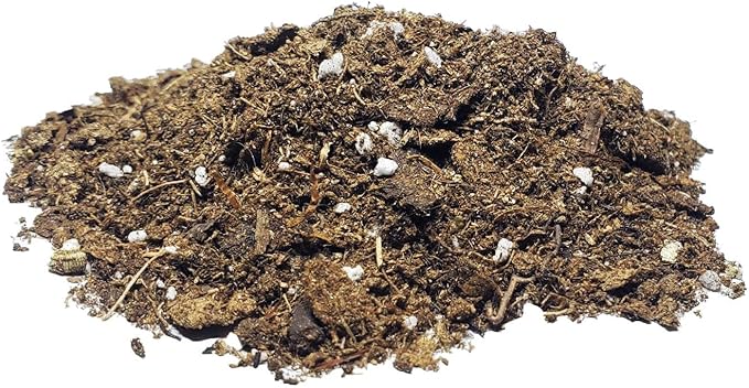 Money Tree Soil Mix – 2 Quart Fast-Draining Potting Soil for Healthy Root Growth – All-Natural Blend – Resealable Bag – Ideal for Pachira aquatica & Indoor Houseplants