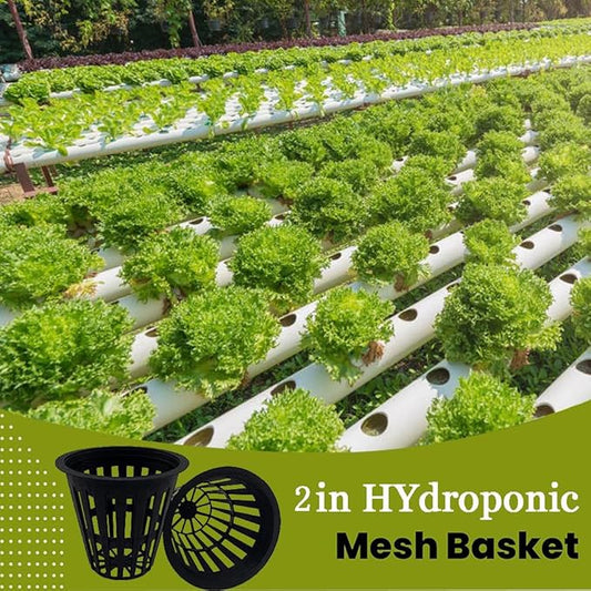 100 PCS 2 Inch Heavy Duty Net Pots, Slotted Mesh Hydroponic Cups for Garden, Plant Nursery Net Cups for Hydroponics and Aquaponics