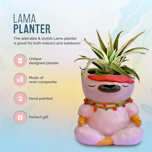 GFF Grass Flip Flops Animals Planters Lama 4 Inch Plant Pots for Succulents Flowers Herbs Houseplants - Indoor Outdoor Live Plants Stand Garden Home Office Kitchen Decor