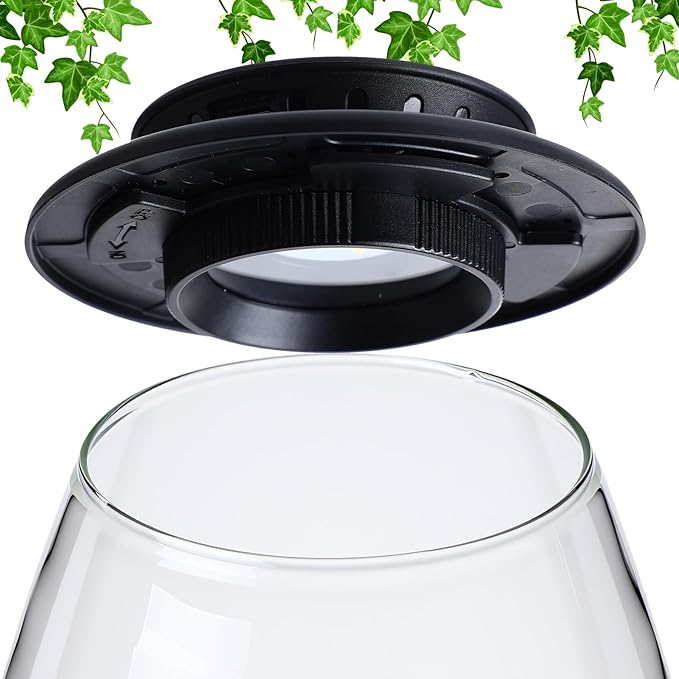 Desktop Glass Terrarium with Grow Light, 6.7 x 8.7 Inches, Mini Borosilicate Glass Plant for Succulent Moss Miniature Gardening Landscape, Small Fish Tank, Indoor Plant Growth, Empty Bottle