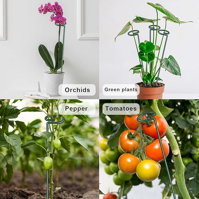 36 Inch Plant Sticks Support Tall Three Sizes (12 or 24 or 36 Inch), 8 Pcs 4.5mm Adjustable Outdoor and Indoor Plant Support, Garden Stakes for Plants Flowers Rose Tomatoes Peony Lily Rose Amaryllis