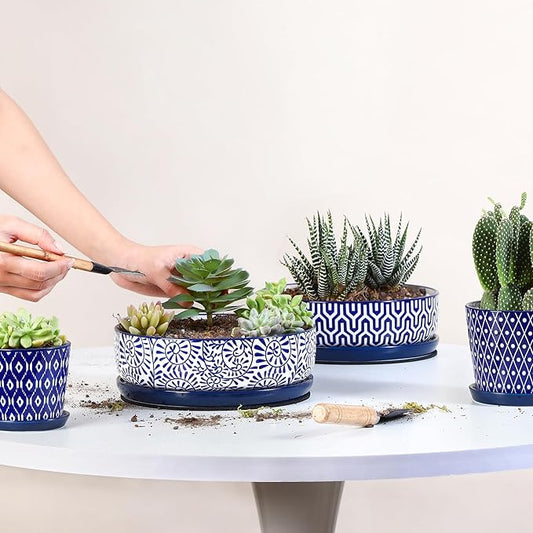 Selamica Ceramic Succulent Pots, Shallow Succulent Planters with Drainage Hole & Saucer, Indoor Plant Pots for Cactus, Home Decor,Vintage Blue, 8 inch,Set of 2
