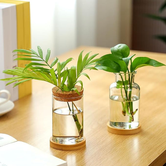 Layhit 4 Pcs Plants Propagation Stations vases Glass Planters with Wooden Lid and Bamboo Stand for Hydroponic Plants Gardening Gifts for Women Mom Home Office Tabletop Decoration(Wide Mouth Style)