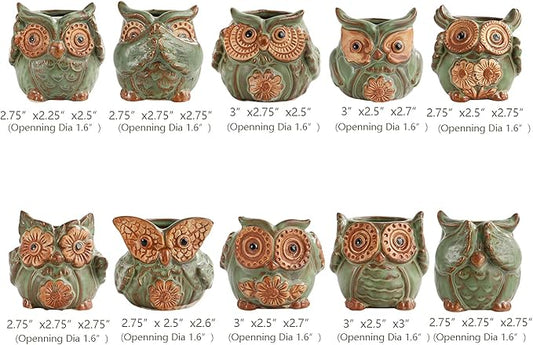 TOPZEA 10 Pack Succulent Planter Pots with Drainage Hole, Cute Owl Ceramic Small Planters Animal Tiny Flower Plant Pots Containers Indoor for Cactus, Herb, Home, Garden, Windowsill, Coffee Table Decor