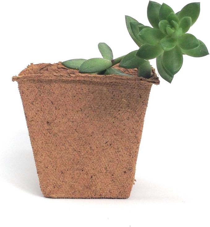 Plant Starter Peat Pots - 30 Pack of 3 Inch Square Pots for Your Garden, Greenhouse or Nursery - Ideal for Organic Seed Planting & Gardening