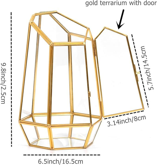 Golden Geometric Glass Terrarium with Door - 9.8" Tall Irregular Clear Planter for Succulents,Ferns,Moss,Cacti | Indoor Fairy Garden,Tabletop Display,Wedding Home Decoration (Plants Not Included)