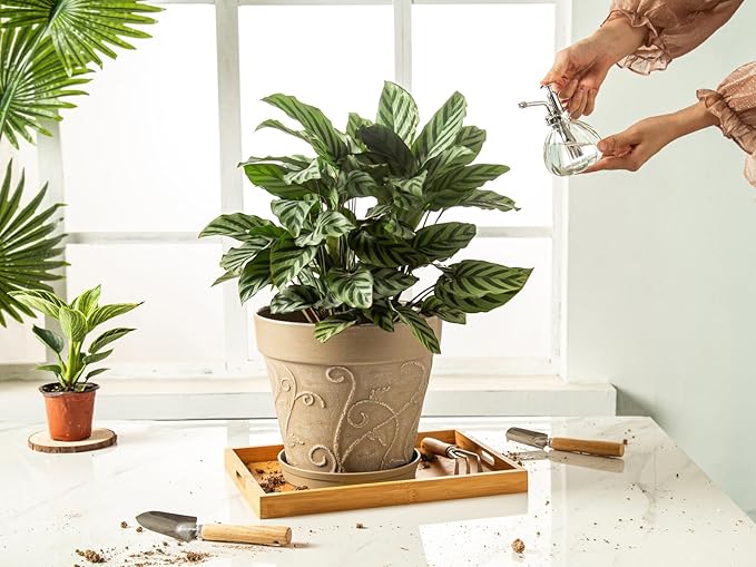 Melphoe Plant Pots Indoor with Drainage & Saucer, 2Pack 10 inch Flower Pots Outdoor Planters for Indoor Plants Garden Home Decor Cactus Succulent, Rigid Plastic (Imitation-Terracotta) Vine-Embossed