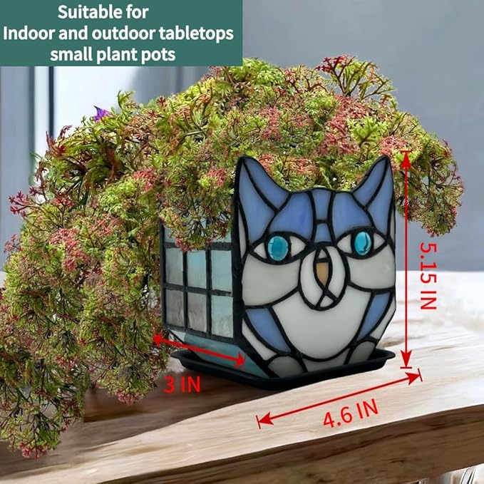 Indoor Plant Display Glass Container, Unique Pots for Plants, Glass Container Decoration,Suitable for Growing Small Plant 4.6x5.15x3 in(Excluding Plants)
