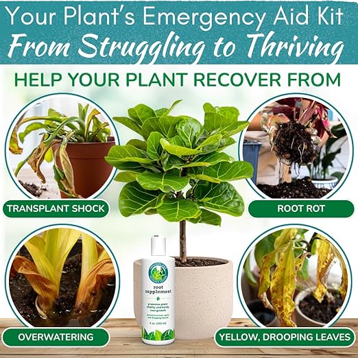Root Rot Repair for Houseplants – Root Supplement & Recovery Drops for Overwatering or Shock | Heals Roots, Prevents Yellowing, Brown Spots & Dropping Leaves (8 oz)