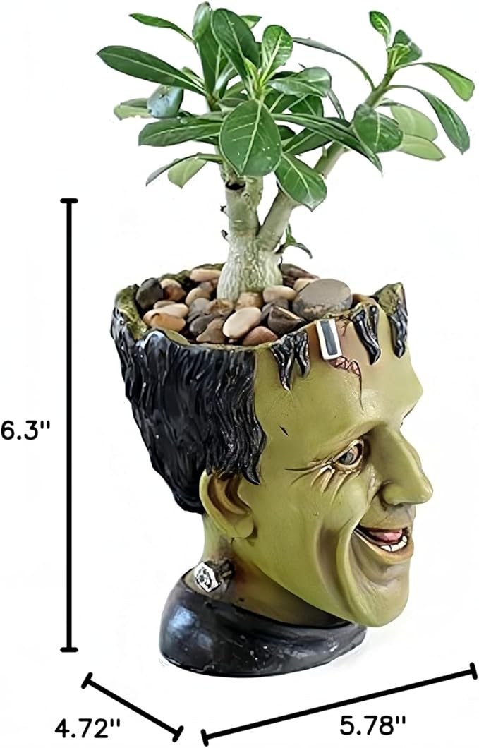 Funny Planter Head Planter Succulent Pot with Drainage Hole Fairy Garden Resin Cactus Plant Pot Pencil Holder Desk Storage Gift for Women Men(Frankstein)