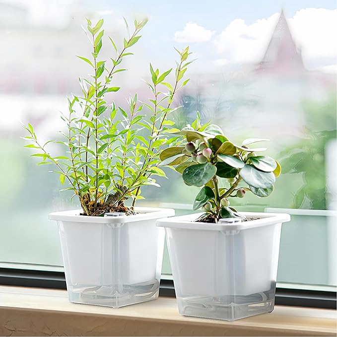 FAMZ Self Watering Pots for Indoor Plants 3 Pack,Clear Plant Pots with Drainage for African Violet、 Orchid、Succulent Plants Square Plant Pots(White 5.12")