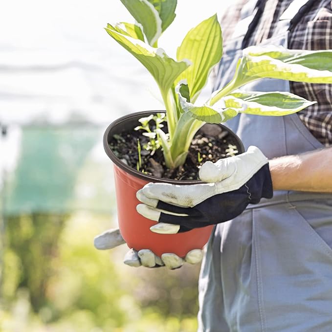 50 Pack 1 Gallon Plastic Plant Nursery Pots Thickened Soft Plastic Plant Pots with 50 Pcs Waterproof Plastic T-Type Plant Tags and 2Pcs/Set Transplanting Digging Mini Tools