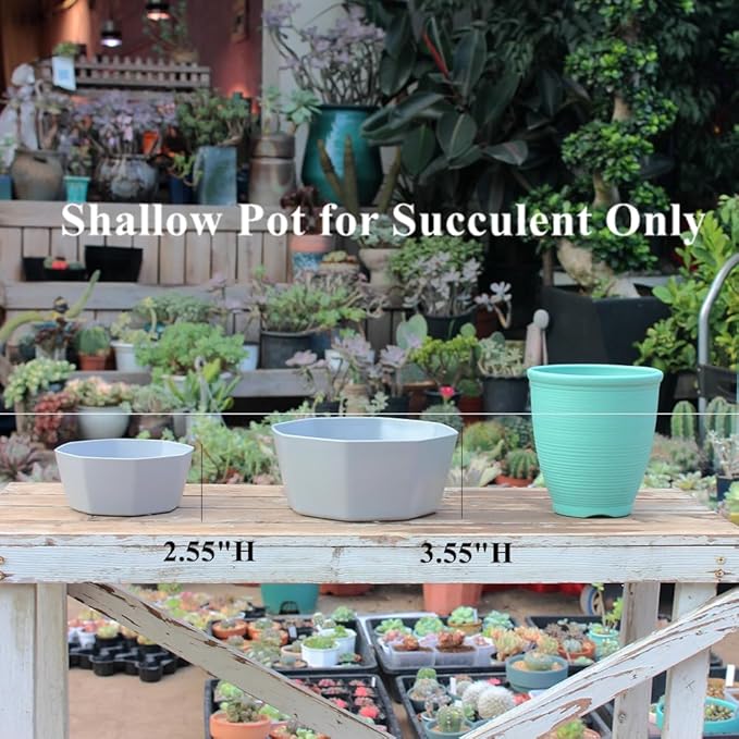 BangQiao 8 Pack 8.00 inch and 5.90 inch Gray Plastic Shallow Plant Pot, Octagon Bowl Planter Container with Pot Tray for Succulents, Cactus