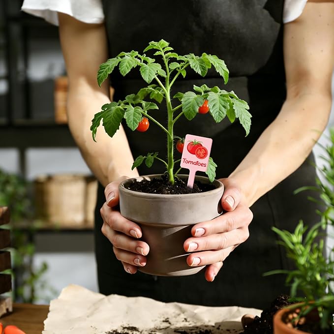 UPINS 24Pcs Acrylic Vegetable Labels Signs for Outside Garden Waterproof Plant Labels Markers Tags Signs with Printed Name for Indoor Outdoor Gardens Plants Potted