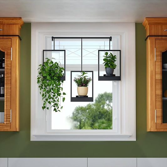 Wall Planters for Indoor Plants Wall Plant Holder Frame Plant Wall Hanger Window Plant Hanger for Livingroom Entryway (1)