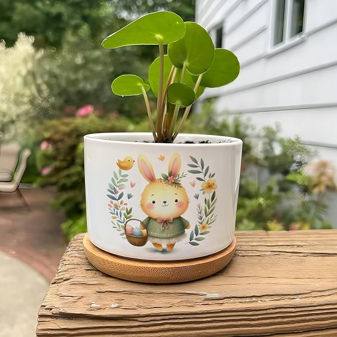 DreamAutumn Easter Bunny Rabbit Ceramic Planters Ceramic Pots with Saucers Orchid Pots for Plants Succulents Pots Office Desk Garden Balconys New Home Decor,Gifts for Mom Mother Grandmother