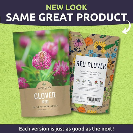 Red Clover - Bulk 1 Pound Pouch - 240,000 Flower Seeds for Planting - Trifolium pratense