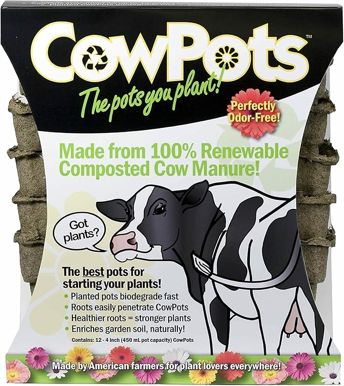 Plantable Pots, Square, 4-in., 12-Pk.