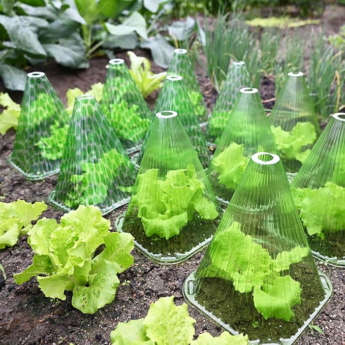 Fshow Garden Cloches,20 Pack Reusable Plant Bell Cover,Bell Jar Cloches for Protection Against Sun, Frost, Snails Etc. (Green)