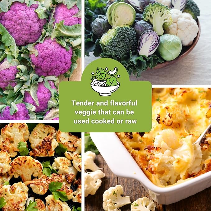 Sow Right Seeds - Cauliflower Collection Seeds for Planting - Includes Non-GMO Heirloom Colorful Cauliflower & Romanesco Broccoli - High Yield & Easy to Grow - Ideal for Veggie Gardens - Home Harvest
