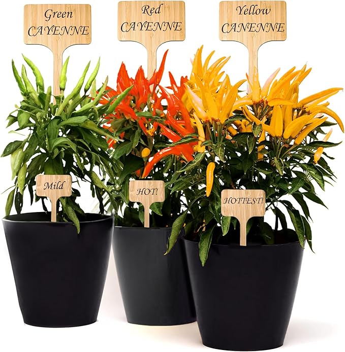 10 Pack 8 Inch Tall Plant Labels Large Garden Markers Plant Name Tags Great Holiday Gift for Plant Lovers Gardeners Easy to Read See Larger Writing Area with Full Size Marker