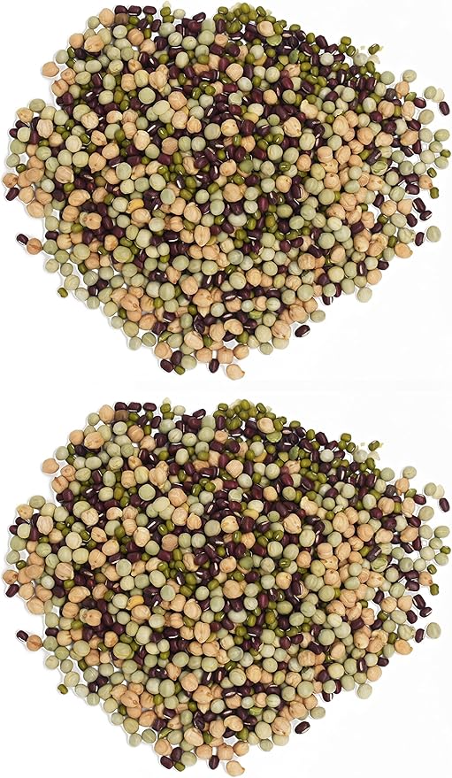 1 Pound Protein Bean Sprout Starter Seeds - 16 Servings per Bag - Organic NON-GMO - Includes Garbanzo, Adzuki, Mung, and Green Pea