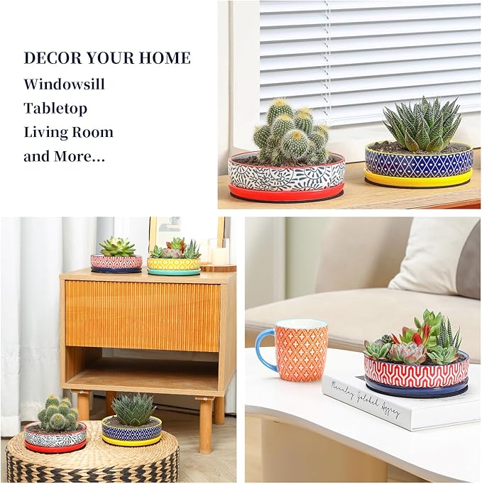 Selamica Ceramic Succulent Pots, Shallow Succulent Planters with Drainage Hole & Saucer, Indoor Plant Pots for Cactus, Home Decor,Assorted Colors,6 inch,Set of 4