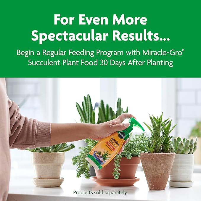 Miracle-Gro Cactus, Palm and Citrus Potting Mix, For Indoor or Outdoor Potted Plants, Great for Succulents, 8 qt.