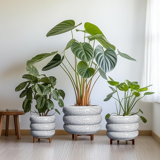 SQOWL Ceramic Planter - 10 Inch Ceramic Plant Pot Indoor, Round Planter with Drainage Hole, Modern Flower Pots Outdoor, Home Living Room Garden Decor, Gardening Gifts, Black and White