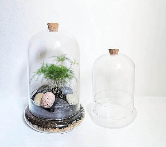 Handblown 10" Glass Terrarium with Opening for Air Flow & Cork Stopper Cloche Style Glass Dome Vivarium Display Case (Large)