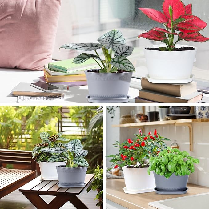 Herb Planter Pots 6 Pcs, Window Box Planter Flower Plants Pots for Succulent Cactus Flower with Trays, for Home Garden Kitchen Decor (Grey)