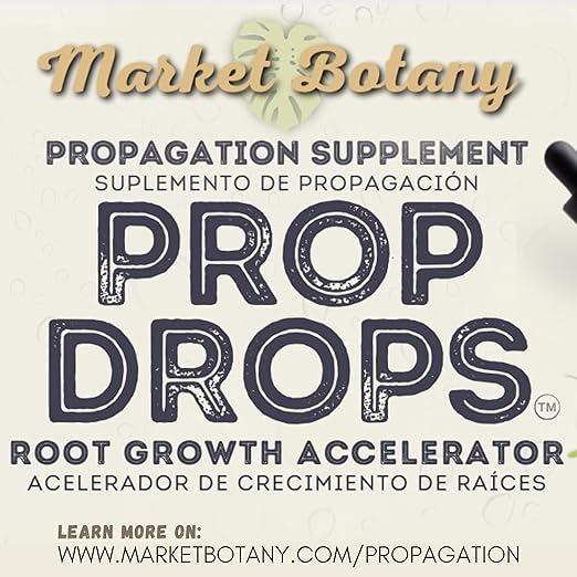 Prop Drops by Market Botany | Propagation Plant Drops to Promote Healthy Root Growth